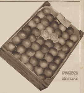 874707 Afbeelding van een kistje machinaal gesorteerde 'Utrechtse goudreinetten', op de Groenten- en Vruchtenveiling ...